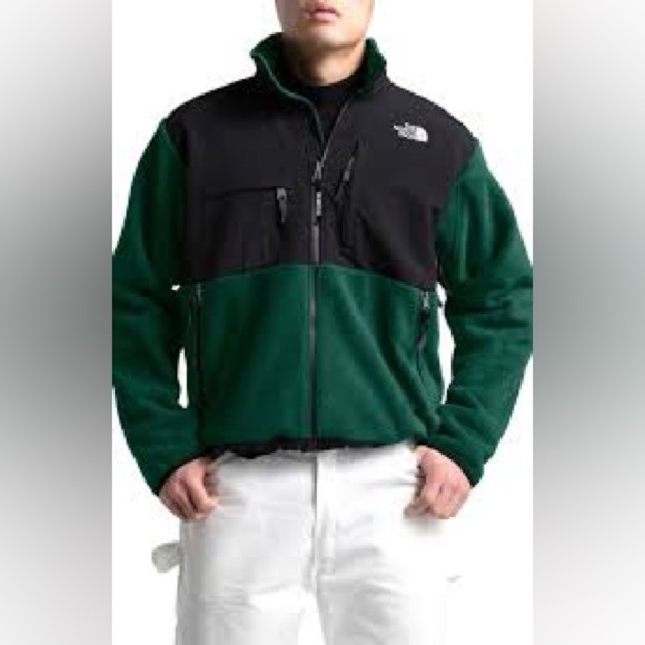 The North Face 1995 Retro Denali Jacket size Large - Picture 1 of 9